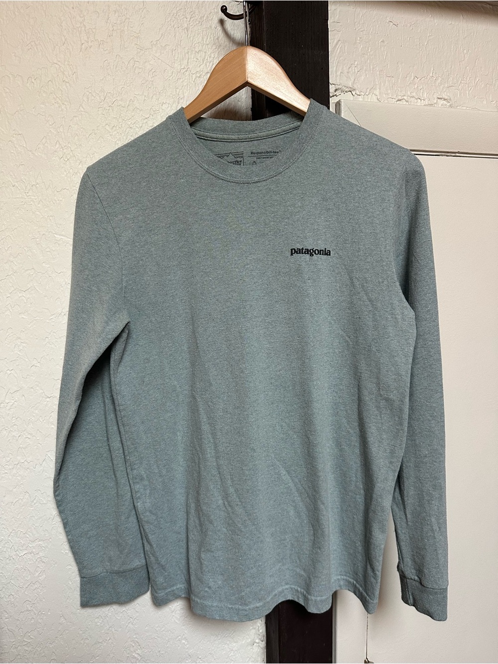 Patagonia Men's Long-Sleeve Crewneck Shirt — Blue/Gray